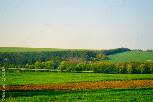 Field horizon with blue sky and clouds © Yevhenii