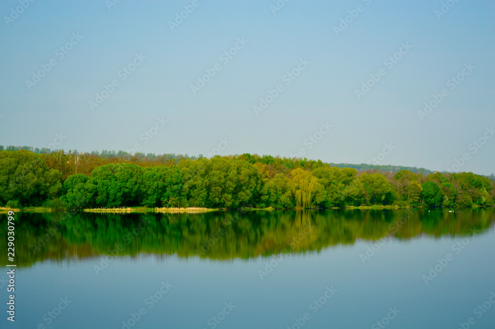 Beautiful skyline of river and forest