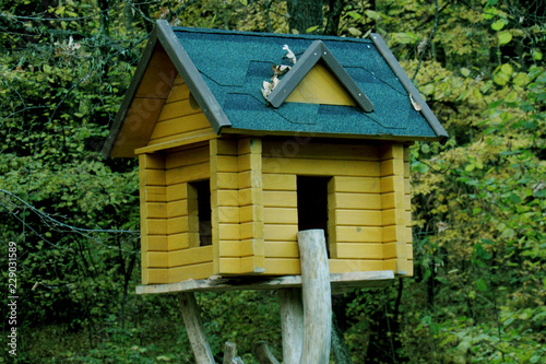 birdhouse on tree © Таня Радченко