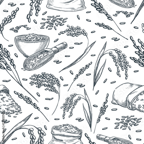 Rice cereal ears, vector seamless pattern. Sketch hand drawn illustration. Asian food package background