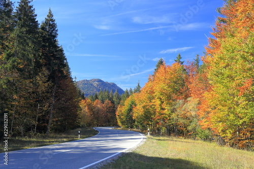 Straße in Herbstlandschaft