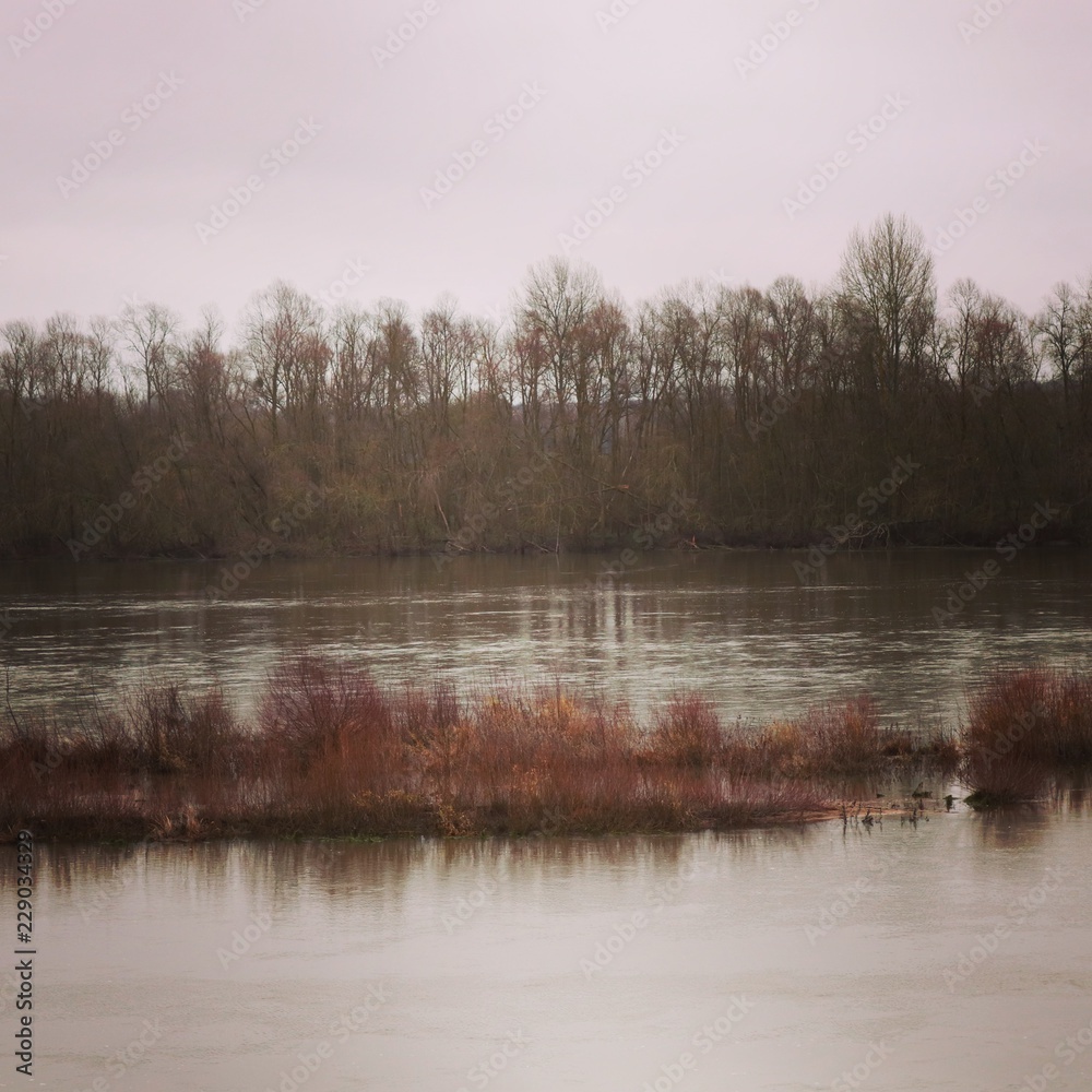 Obraz premium reflection of trees in water