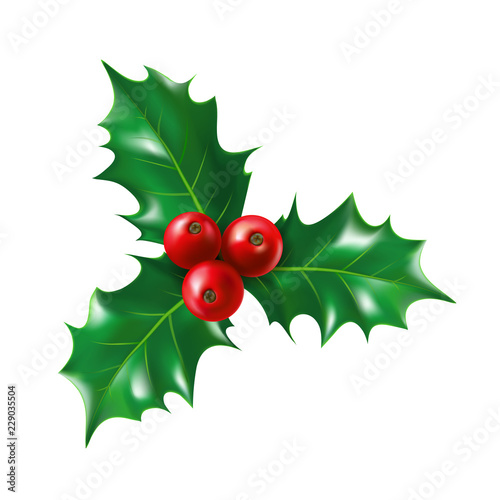 Isolated holly berry with leaves. Ilex berries on sprig with leaf. Plant for new year and merry christmas decoration or mistletoe branch or twig with fruits. Nature and botany, celebration theme photo