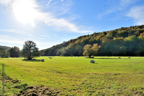 Herbstliches Ruhrtal 2 photo