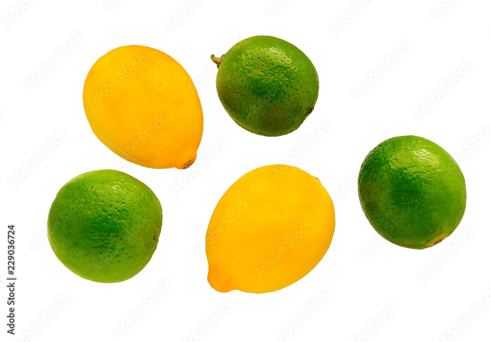 Lime and lemon isolated on the white. Ripe green lime and lemon citrus fruit. Lime and lemon isolated on the white. Ripe green lime and lemon citrus fruit.