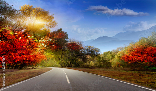 Asphalt road in early autumn with red and yellow leaves