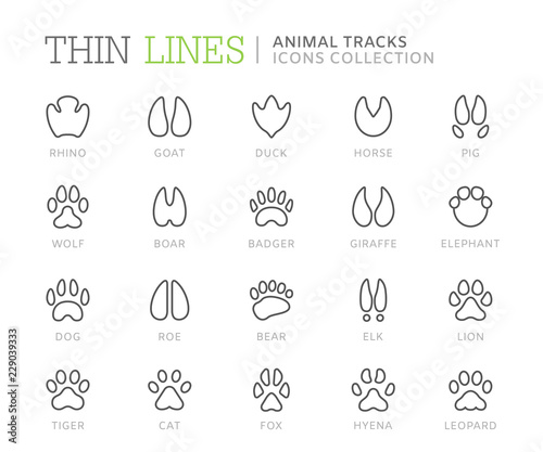 Collection of animal tracks line icons. Vector eps8
