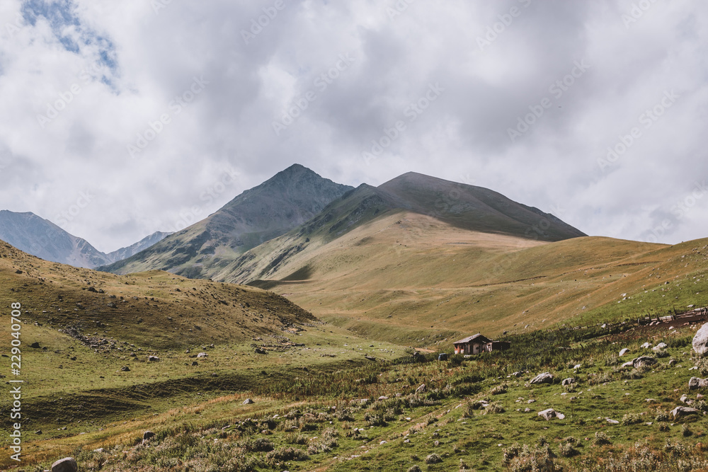 Obraz premium Closeup view mountains scenes in national park Dombai, Caucasus, Russia, Europe. Summer landscape, sunshine weather, dramatic blue sky and sunny day