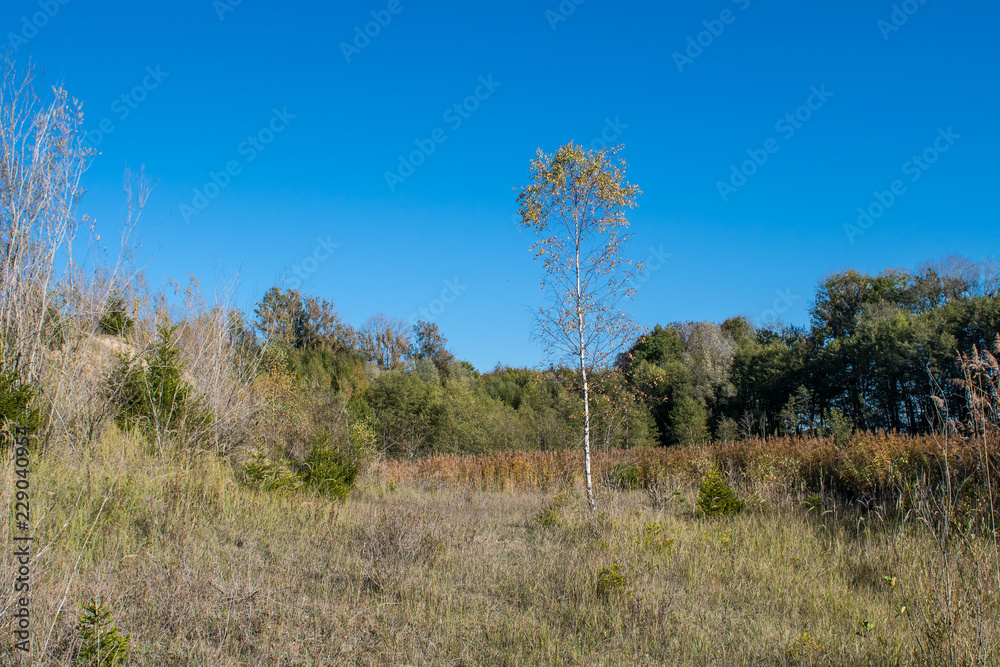 Fototapeta premium Herbst in Naturlandschaft