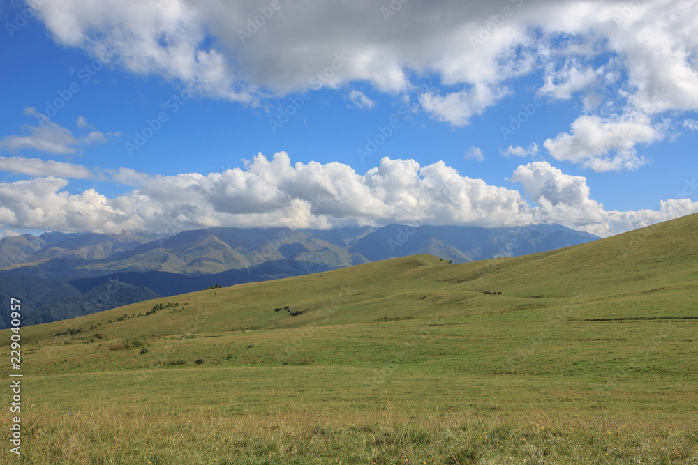 Closeup view mountains and valley scenes in national park Dombai, Caucasus, Russia, Europe. Summer landscape, sunshine weather, dramatic blue sky and sunny day