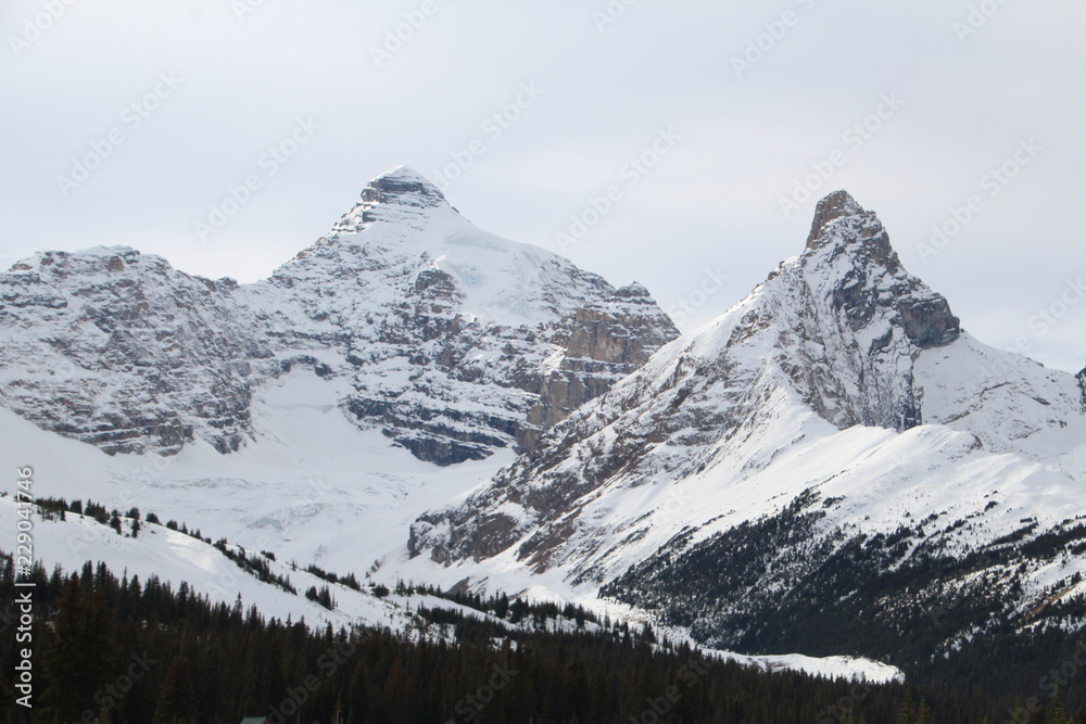 Winter Takes Mount Athabasca And Hilda Peak, Jasper National Park, Alberta