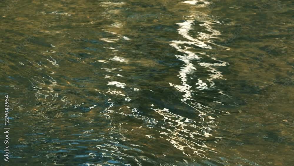 reflection in the waves of the river water. reflection in the waves of the river water.