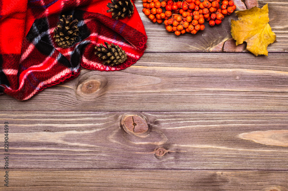 Autumn still life - plaid, maple leaf, cones and rowan on a wooden background. Top view. Copy space Autumn still life - plaid, maple leaf, cones and rowan on a wooden background. Top view. Copy space