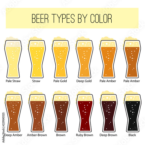 Infographic about beer types of color. Beer menu set. Vector illustration