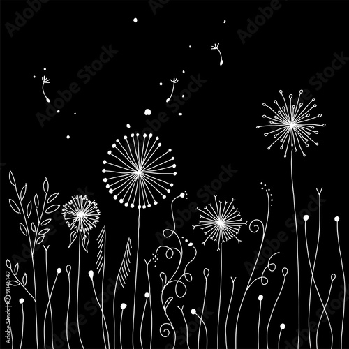 Fototapeta Naklejka Na Ścianę i Meble -  Indie background with dandelions. Abstract floral white ornament on black background. Magical fantasy flowers design. Vector illustration.