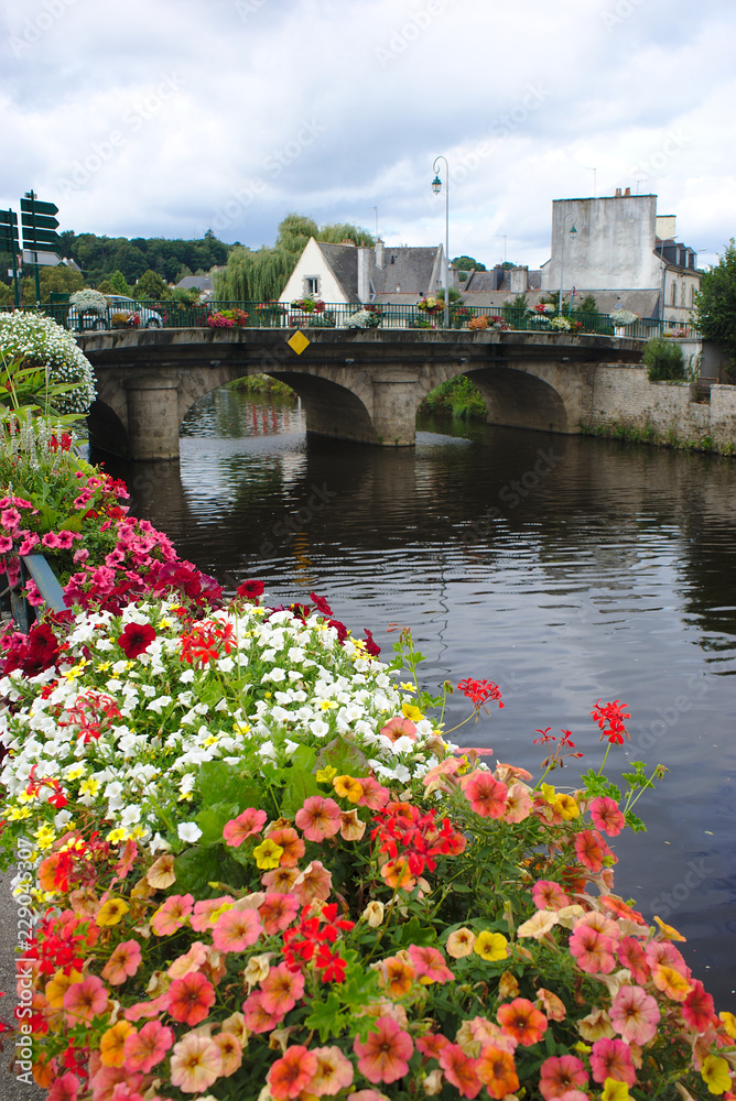 canal de Nantes à Brest dans le centre ville de pontivy en Bretagne, dans le Morbihan. Fleurs en premier plan