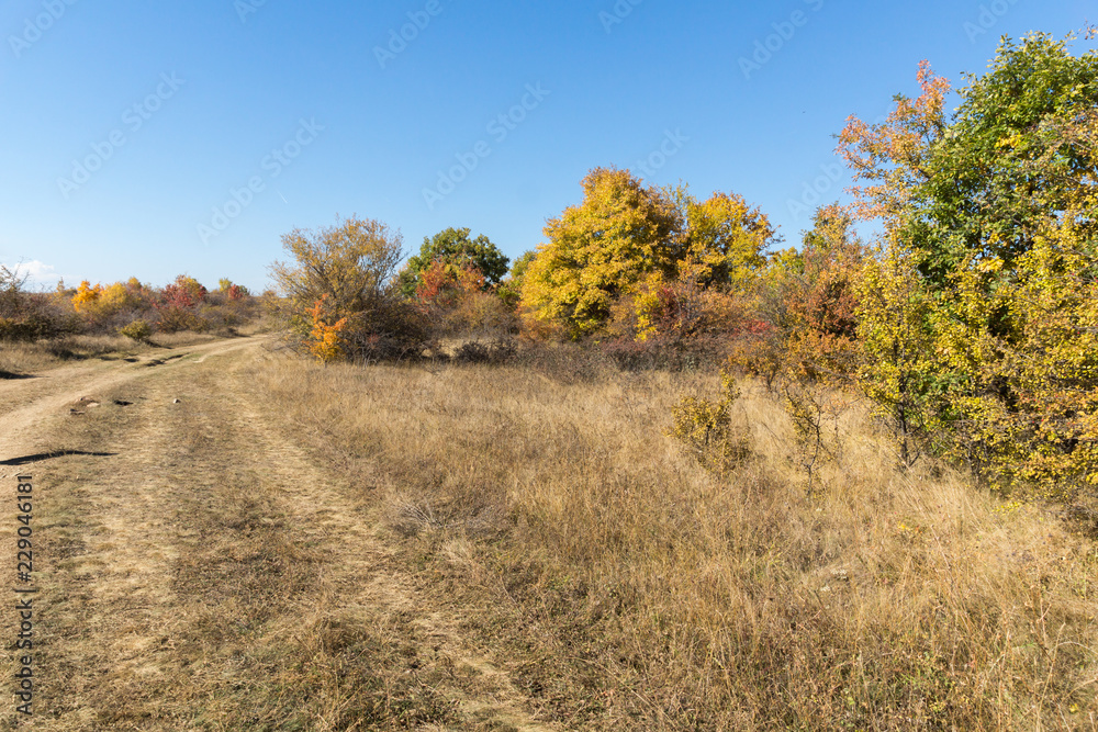 Amazing Autumn landscape of Cherna Gora (Monte Negro) mountain, Pernik Region, Bulgaria Amazing Autumn landscape of Cherna Gora (Monte Negro) mountain, Pernik Region, Bulgaria