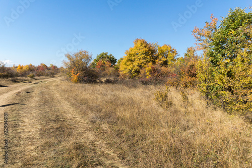 Amazing Autumn landscape of Cherna Gora (Monte Negro) mountain, Pernik Region, Bulgaria