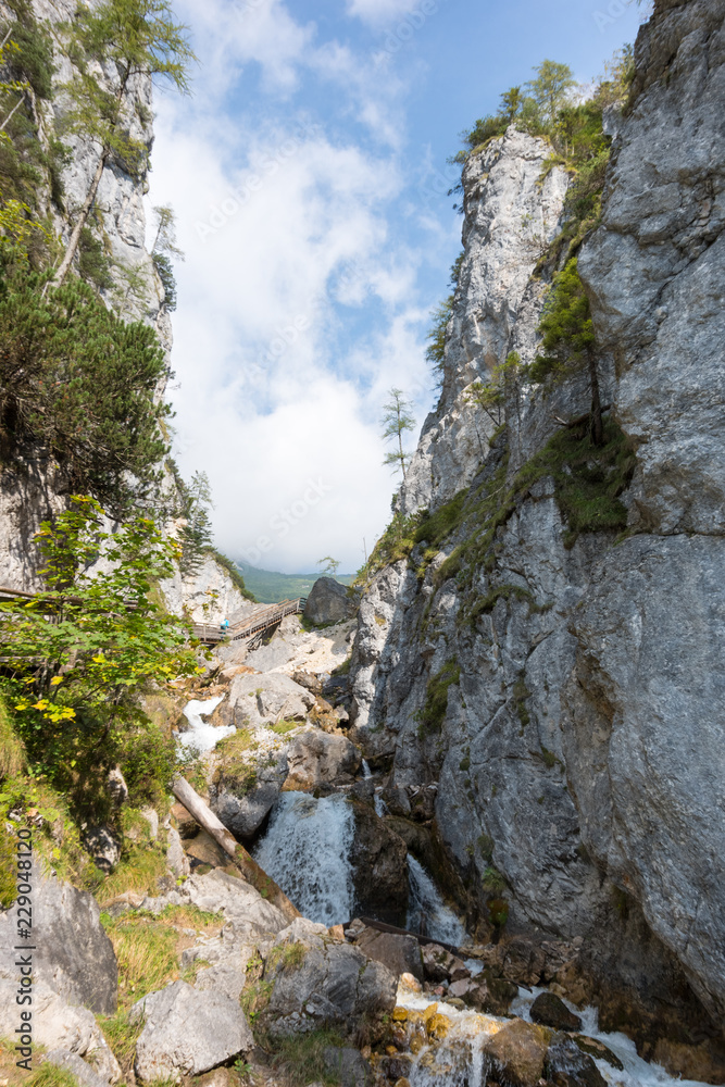 Charming mountain stream in the valley near Schladming, Austria