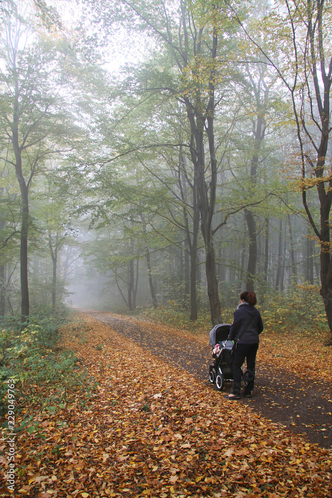 Grandmother with a baby stroller walking in the autumn park.