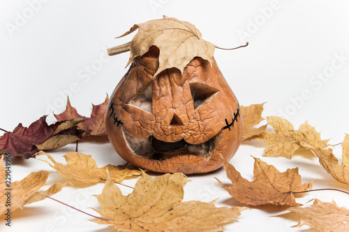 Foto Old pumpkin for Halloween and yellow maple leaves, Jack o lantern with wrinkles and mold