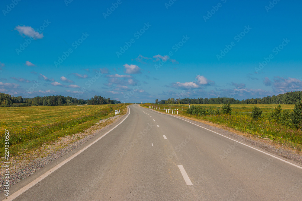 Road through green deep forest in Russia. Around green pines and blue sky, sunny day and autumn times Road through green deep forest in Russia. Around green pines and blue sky, sunny day and autumn times