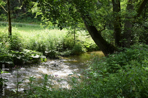 Steinachklamm im Fichtelgebirg