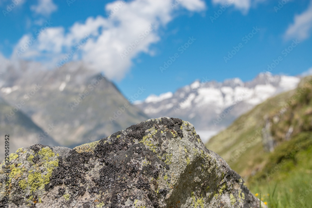 Mountains scenes, walk through the great Aletsch Glacier, route Aletsch Panoramaweg in national park Switzerland, Europe. Summer landscape, blue sky and sunny day