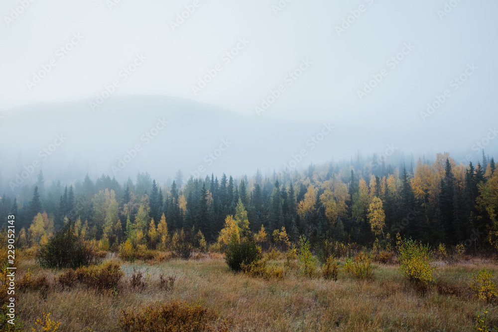 foggy autumn morning in the mountains