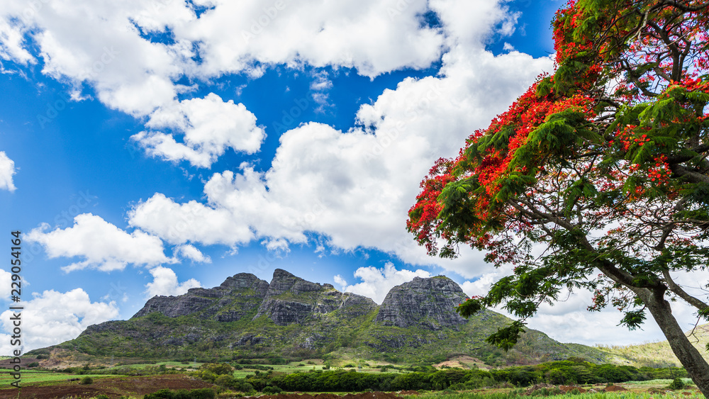 Fototapeta premium Beautiful mountain landscapes of Mauritius island with famous 