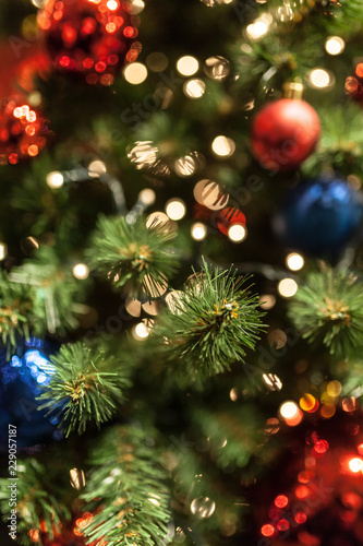 Close up of Christmas tree with ornaments