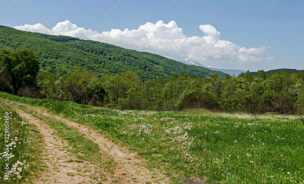 Springtime green forest, glade and valley among Lozen mountain, Plana mountain and snowy Vitosha mountain near to Pasarel village, Bulgaria