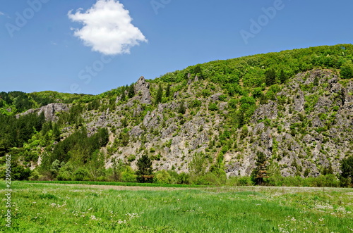 Springtime green forest, rock, glade and valley  in the Lozen mountain, near to Pasarel village, Bulgaria photo