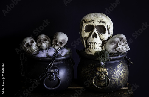 Fototapeta Naklejka Na Ścianę i Meble -  Scary halloween skulls