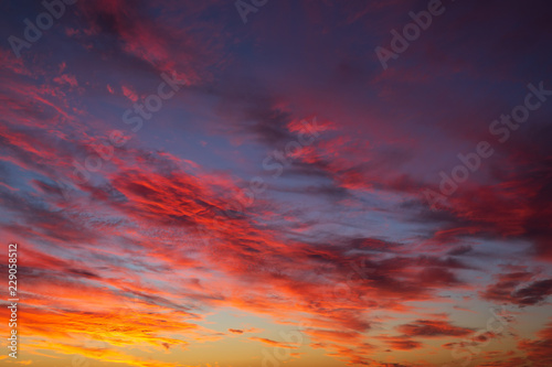 Dramatic sunset or sunrise sky with clouds background © DedMityay