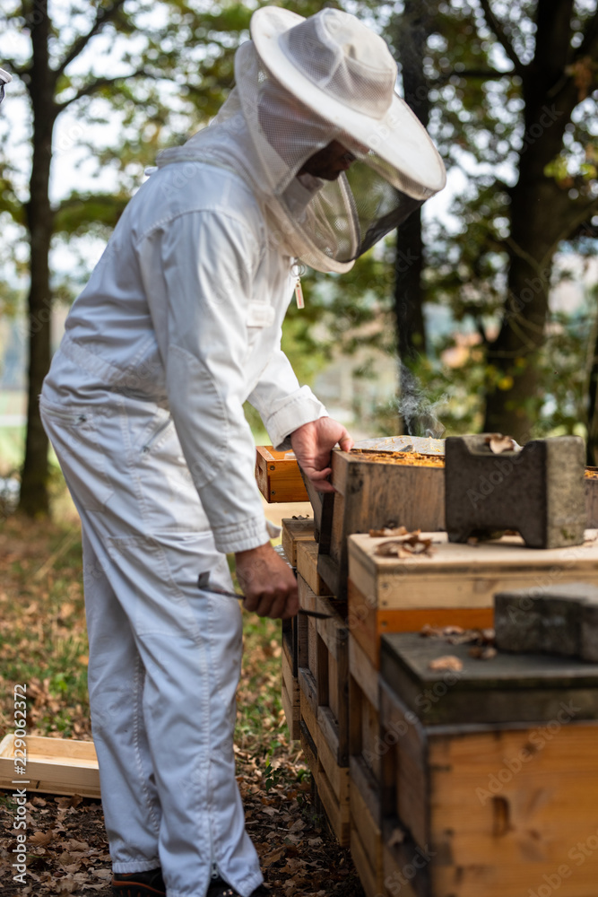 Imker beim kontrollieren der Bienen im Herbst Imker beim kontrollieren der Bienen im Herbst