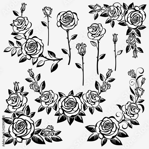 Collection of roses