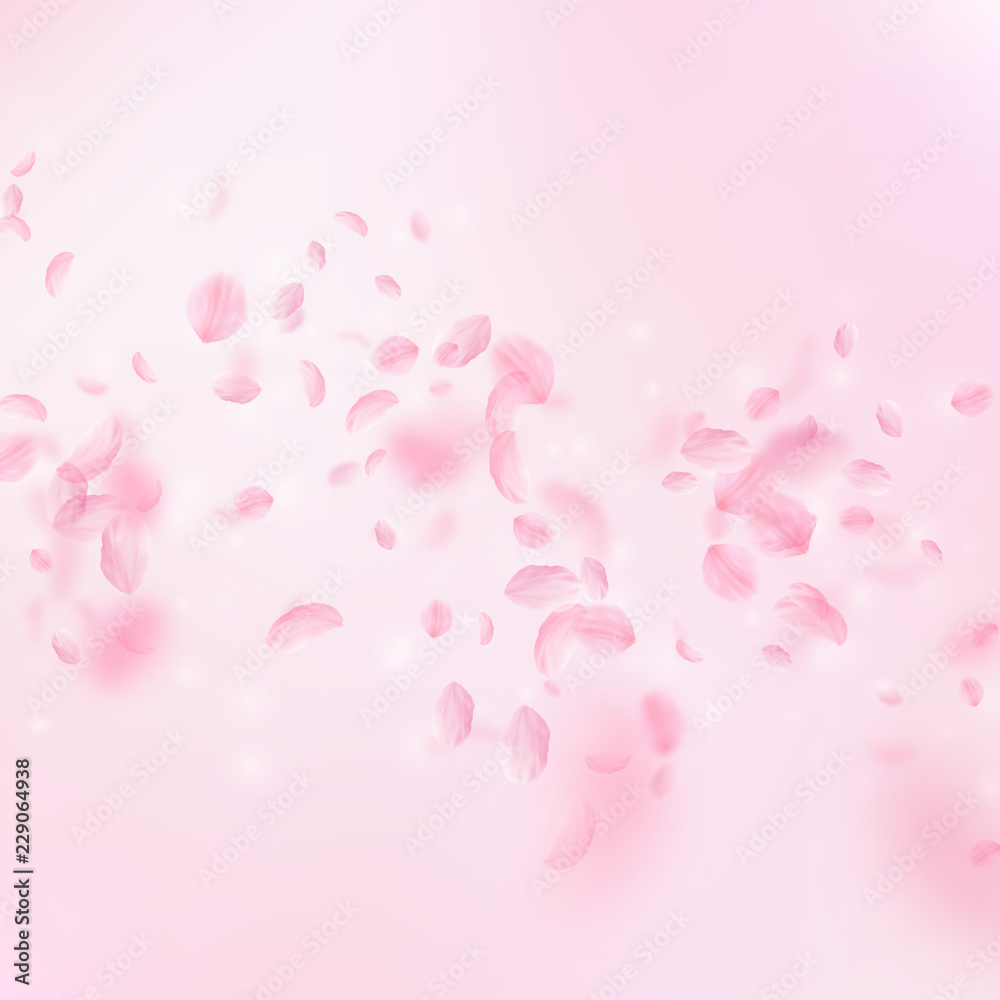 Sakura petals falling down. Romantic pink flowers 