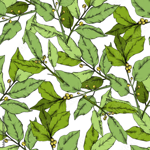 Vector green laurus leaf. Leaf plant botanical garden floral foliage. Seamless background pattern. Fabric wallpaper print texture. Vector leaf for background, texture, wrapper pattern, frame.