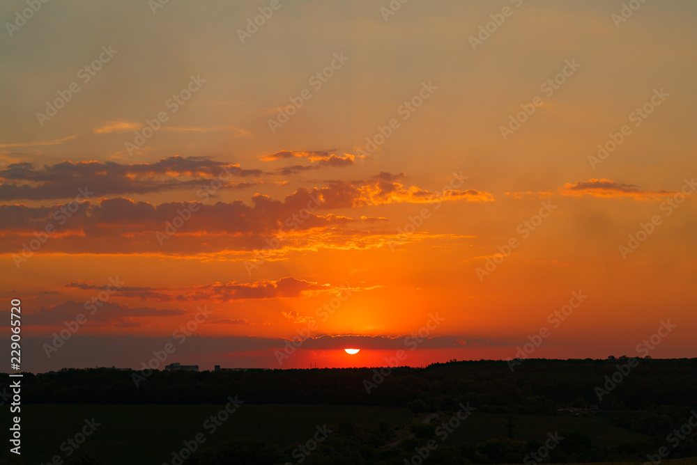 sun set over the horizon on the background of a field and forest in the evening in the summertime. Sunset.