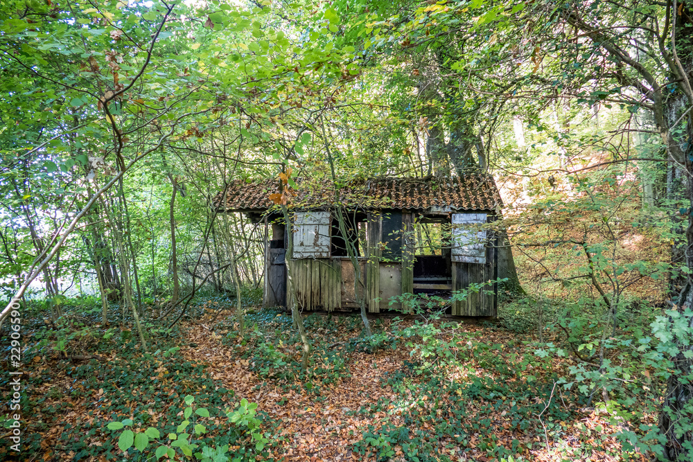 Kaputte Hütte im Wald