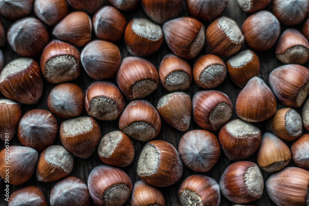 Hazel nuts texture on dark background Hazel nuts texture on dark background