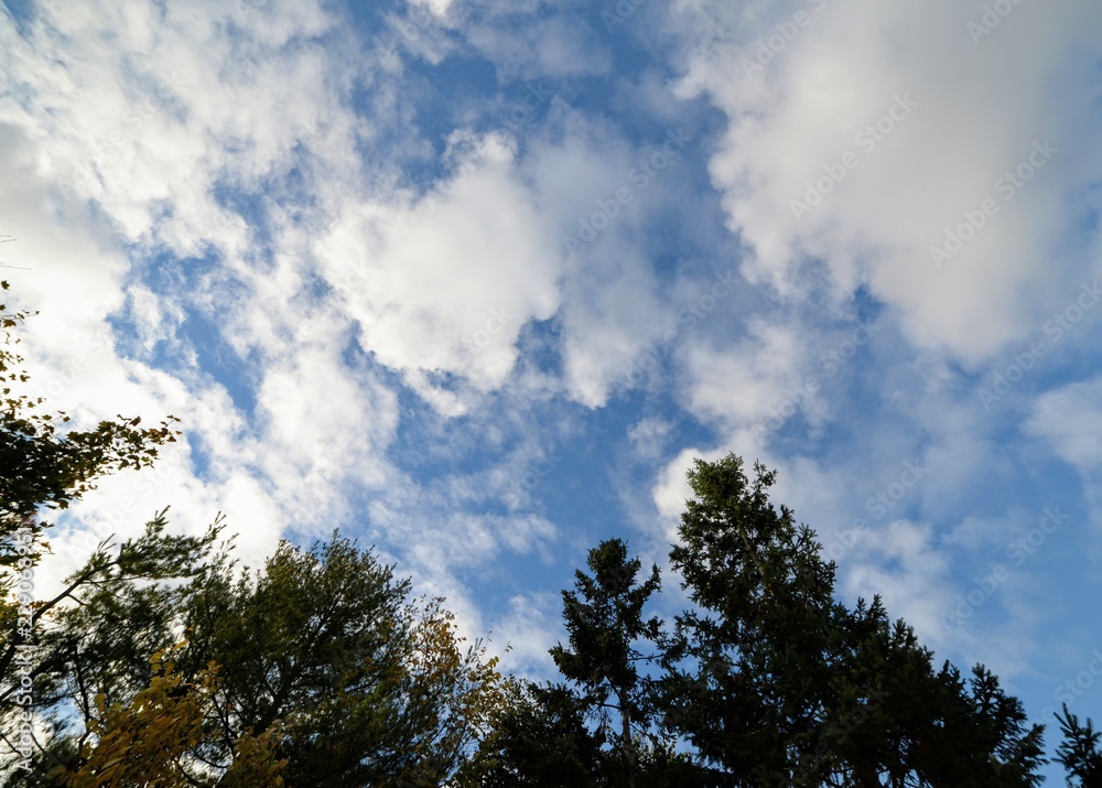 clouds clouds