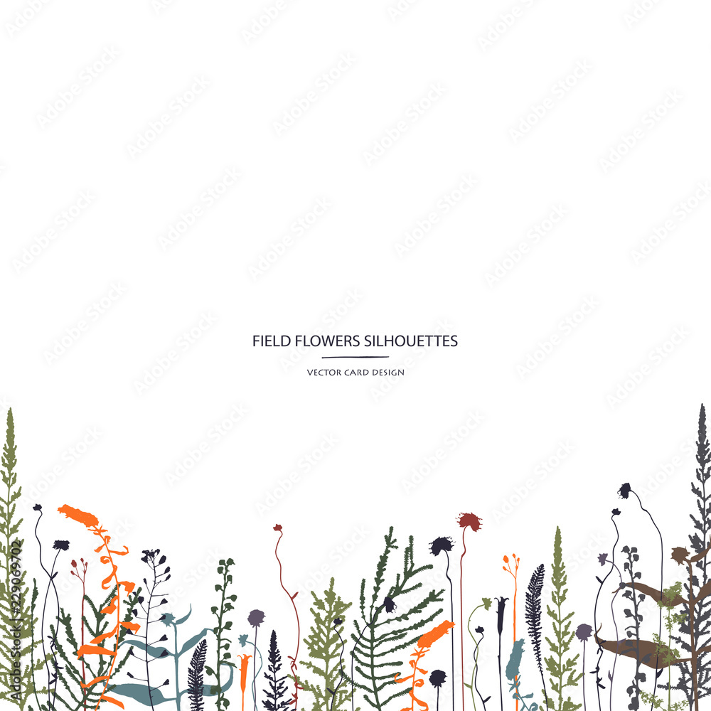 Vector silhouettes collection. Set of field herbs, flowers. Card design. Cover design.