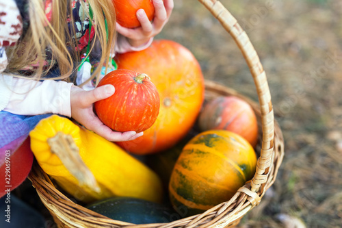 Girl holding a pumpkins in hands outdoors