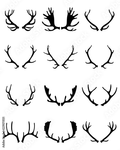 Black silhouettes of different deer horns on a white background