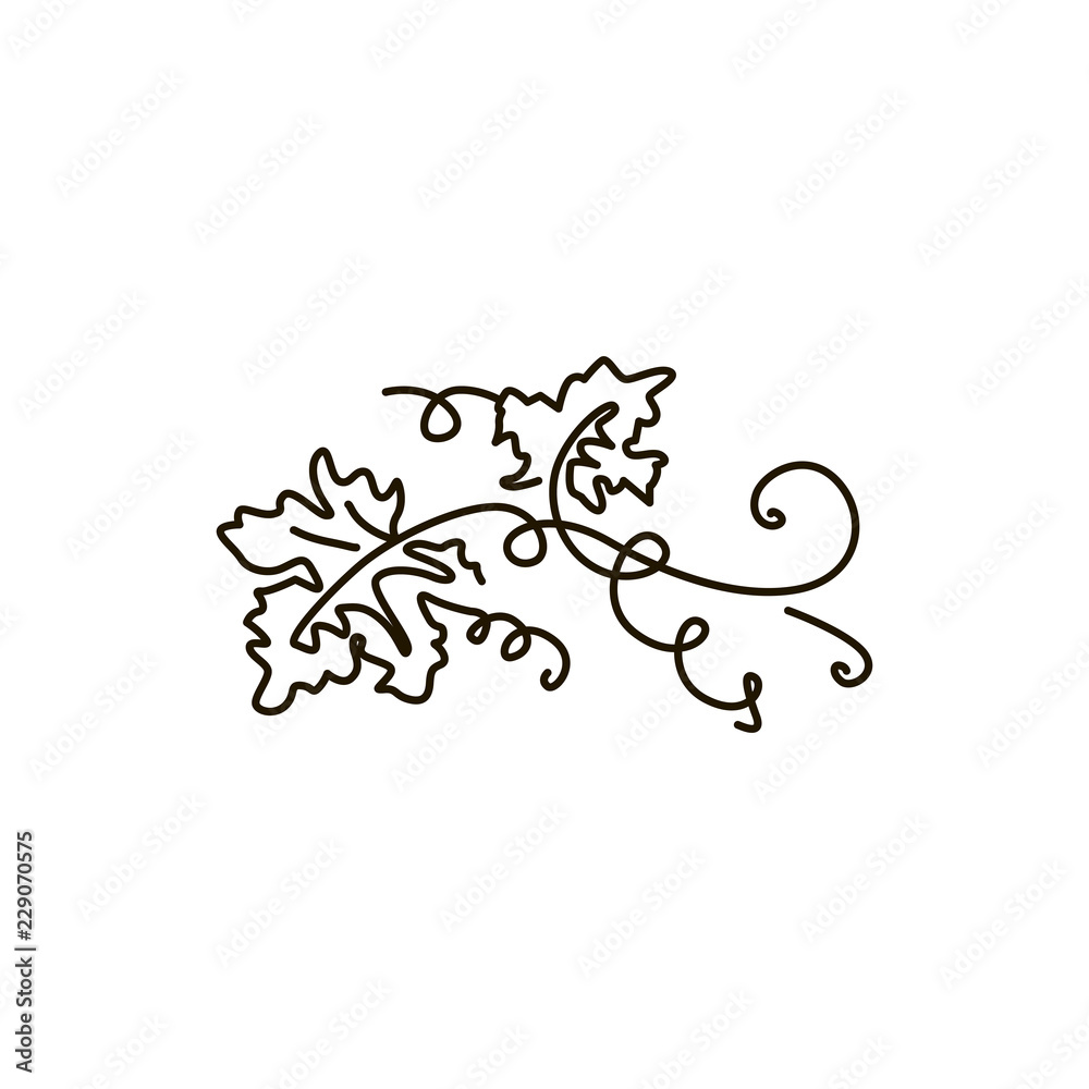 Vector Line icon. Grape leaves. One line drawing. Isolated on white background