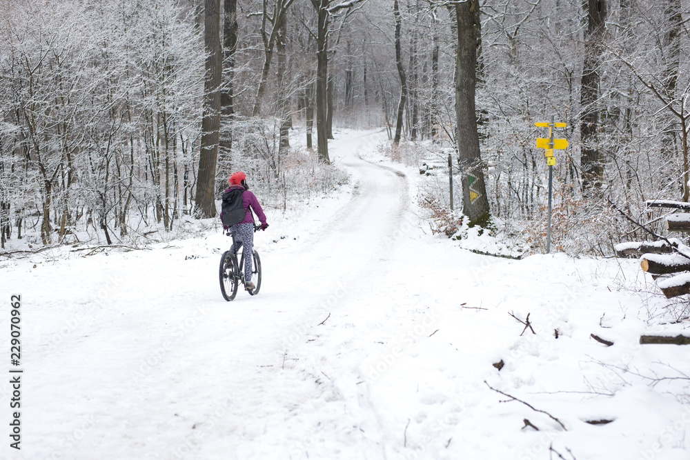 Active young woman driving her bicycle in the snow in a forest