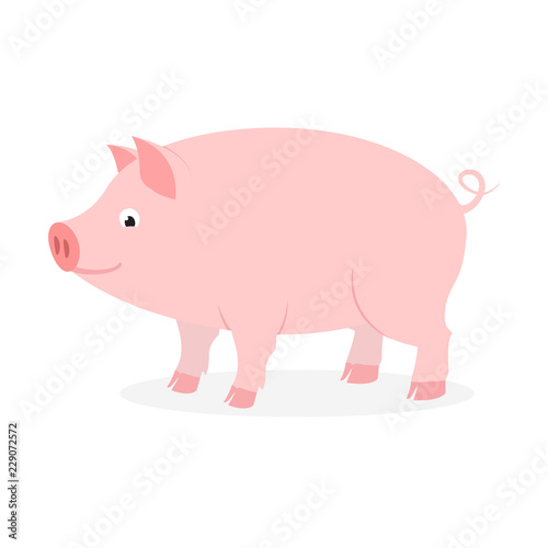 Pink pig with curly tail on white background.