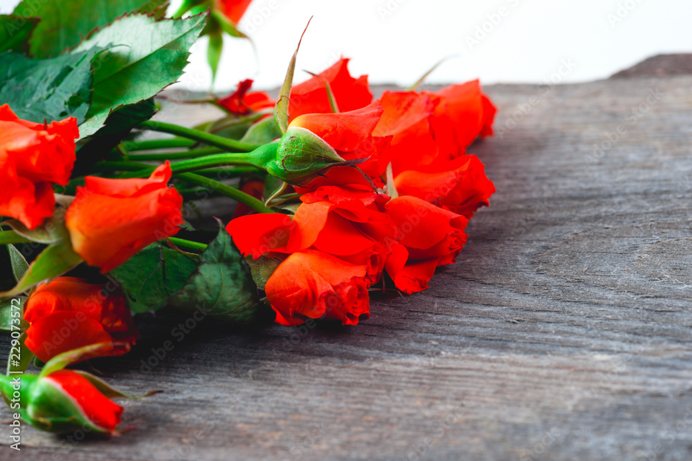 red roses on wooden board, Valentines Day background.